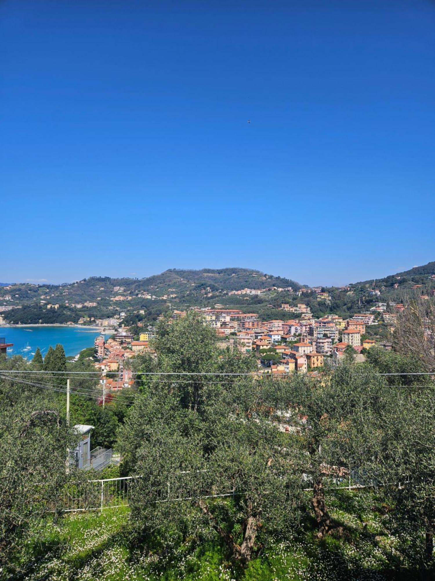 Villa Degli Ulivi - Free Parking Lerici Eksteriør billede